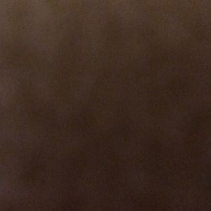 Meet your Posher, Carise